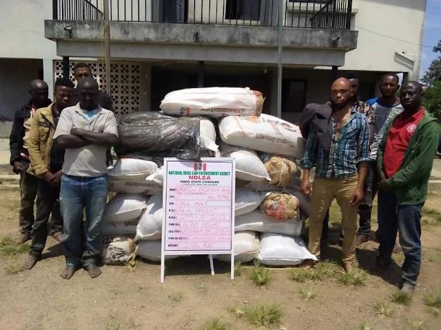 NDLEA detains physically challenged man travelling to Italy, several others for drug trafficking