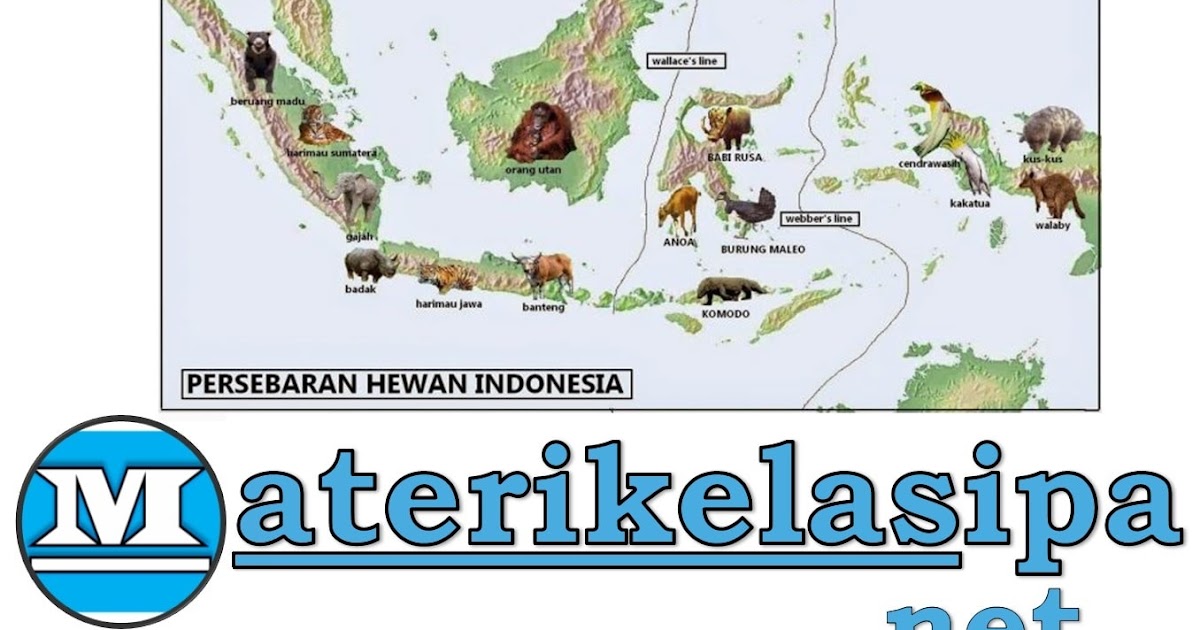 Persebaran Flora dan Fauna di Indonesia Beserta Contohnya