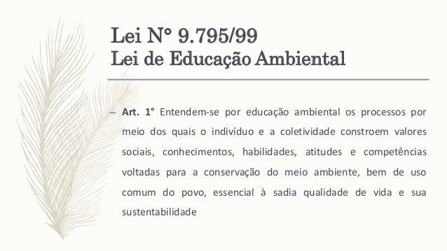 LEI 9795 - EDUCAÇÃO AMBIENTAL A SUA IMPORTÂNCIA NO MUNDO ATUAL