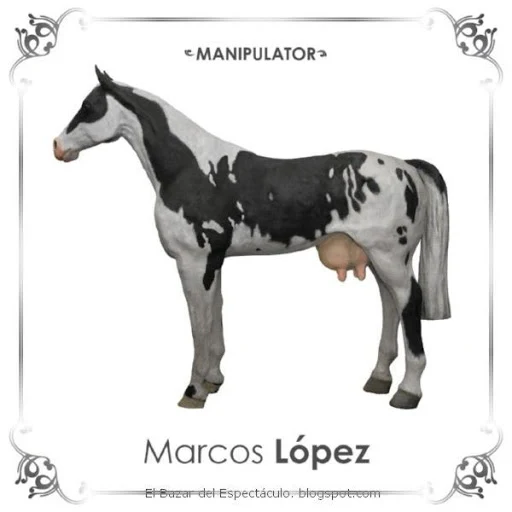 Manipulator - Marcos Lopez catálogo.jpeg