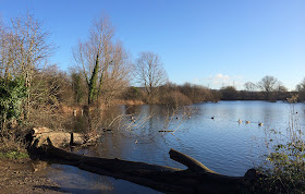 Roaden Island Lake.  Leybourne Lakes, 2 January 2014.