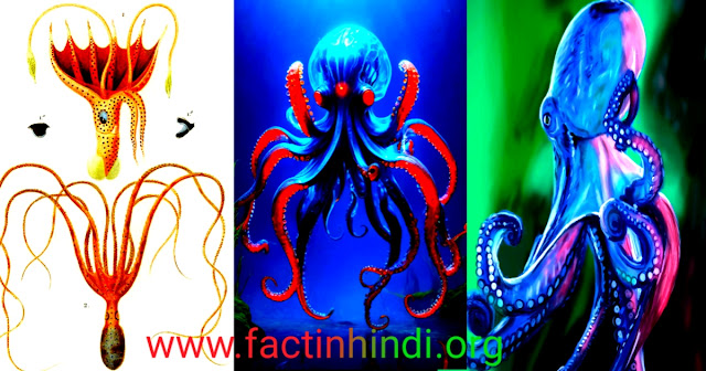 Octopus Unbelievable facts in hindi