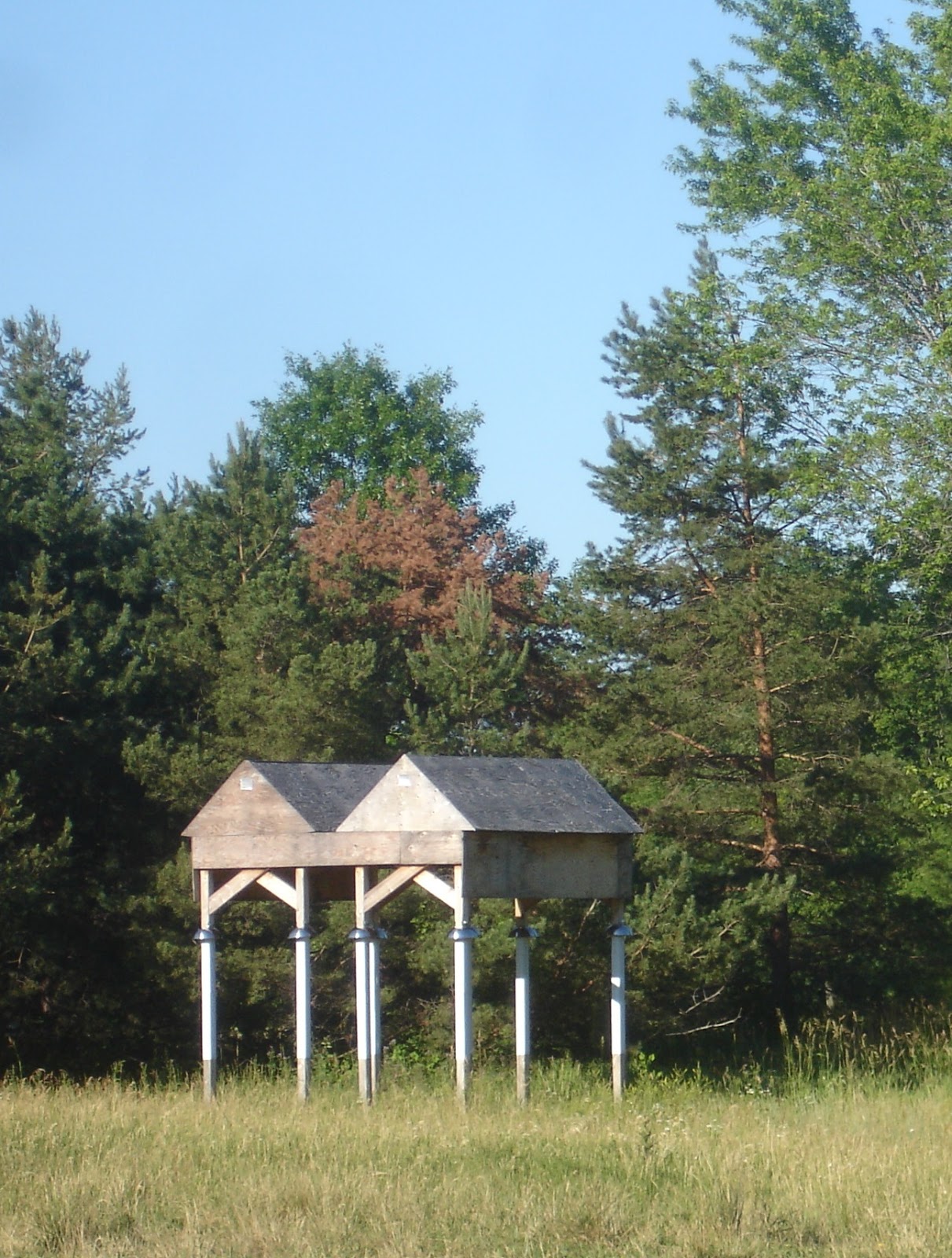 Wild Here Built Habitat Bird Structures Around The City