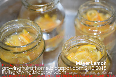 マイヤーレモンジャム-Mayer-Lemon-Jam