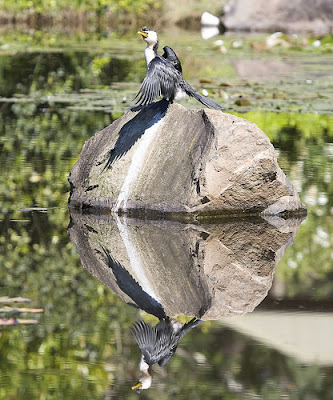 Beautiful Examples Of Reflective Photography 