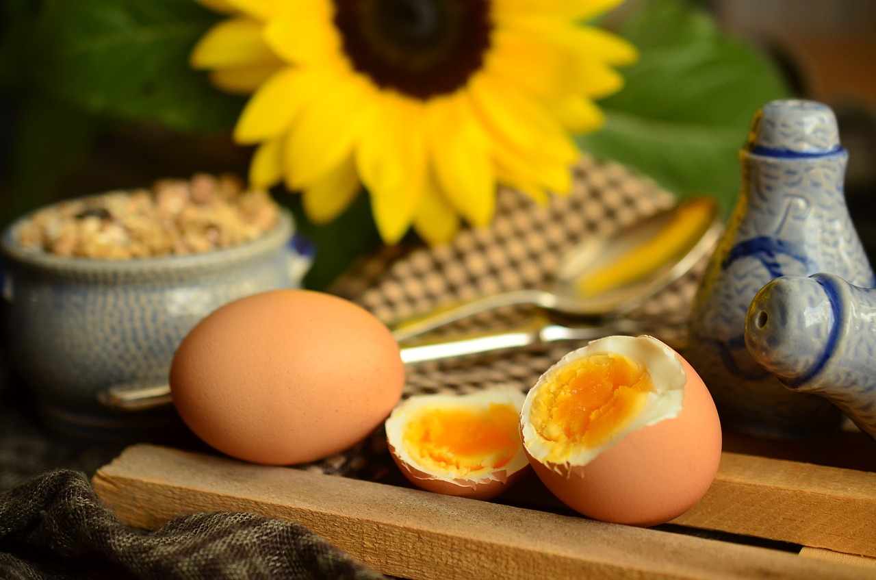 The egg diet : Boiled Egg Diet 14 Days Plan - THE EGG DIET