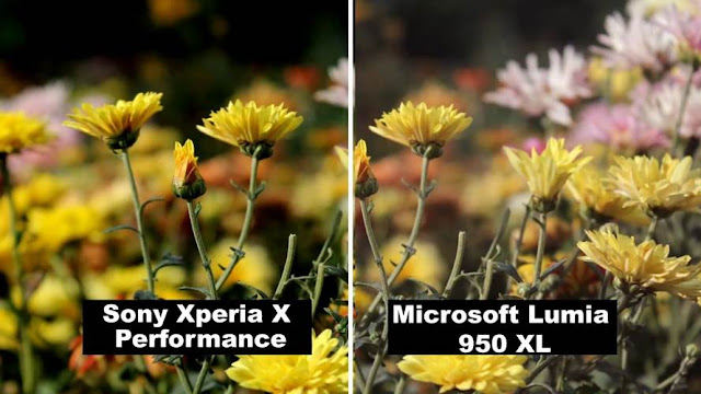   Perbandingan foto antara Xperia X Performance dengan microsoft Lumia 950 XL (klik disini untuk melihat gambar lebih detail)