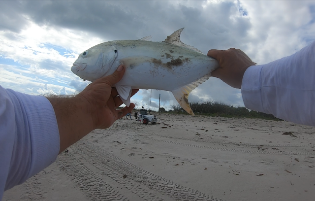 Anglers, East Coast, Fish Reports, Fishing, Fishing Reports, Florida Fishing, Florida Surf Fishing, Surf Fishing, 