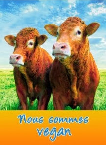 Vaches: Nous sommes vegan