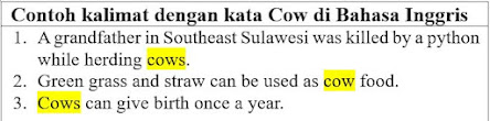 28 Contoh Kalimat Cow di Bahasa Inggris dan Pengertiannya