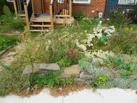 Toronto Front Garden Fall Cleanup Before in East York by Paul Jung Gardening Services--a Toronto Organic Gardener