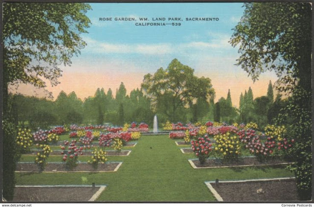 Vintage Rose Garden Sacramento