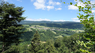 Blick durch die Bäume auf Plagne