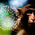 Global concern as scientists create first part-human, part-monkey embryos
