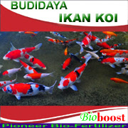 https://bioboostsakti.blogspot.co.id/p/budidaya-ikan-koi.html