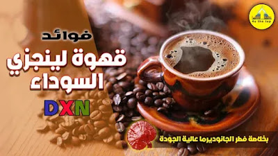 القهوة السوداء DXN