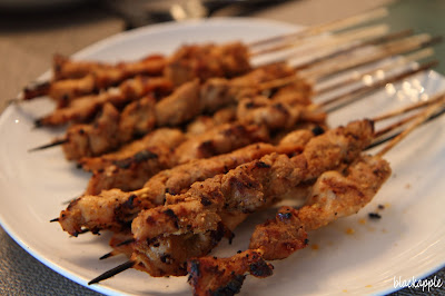 Selamat Hari Raya_Malaysians_Chicken Satay_by black apple