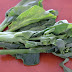 Kai-lan Vegetables Health Benefits