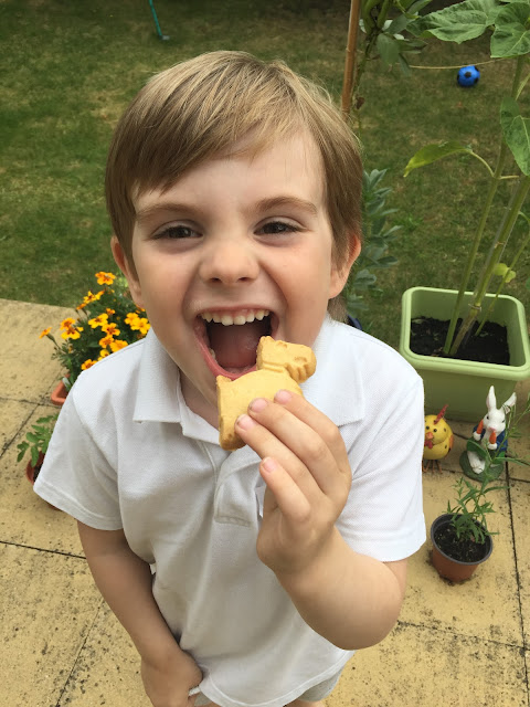 Walkers Scottie Dog Shortbread Biscuits