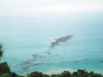 南迴海怪 漂流木 - 南迴海怪 漂流木屏障