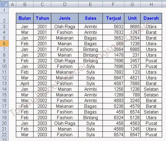 Cara-Membuat-Laporan-Dengan-Auto-Filter-Di-Excel