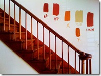 simran-sethi-paint-290x218