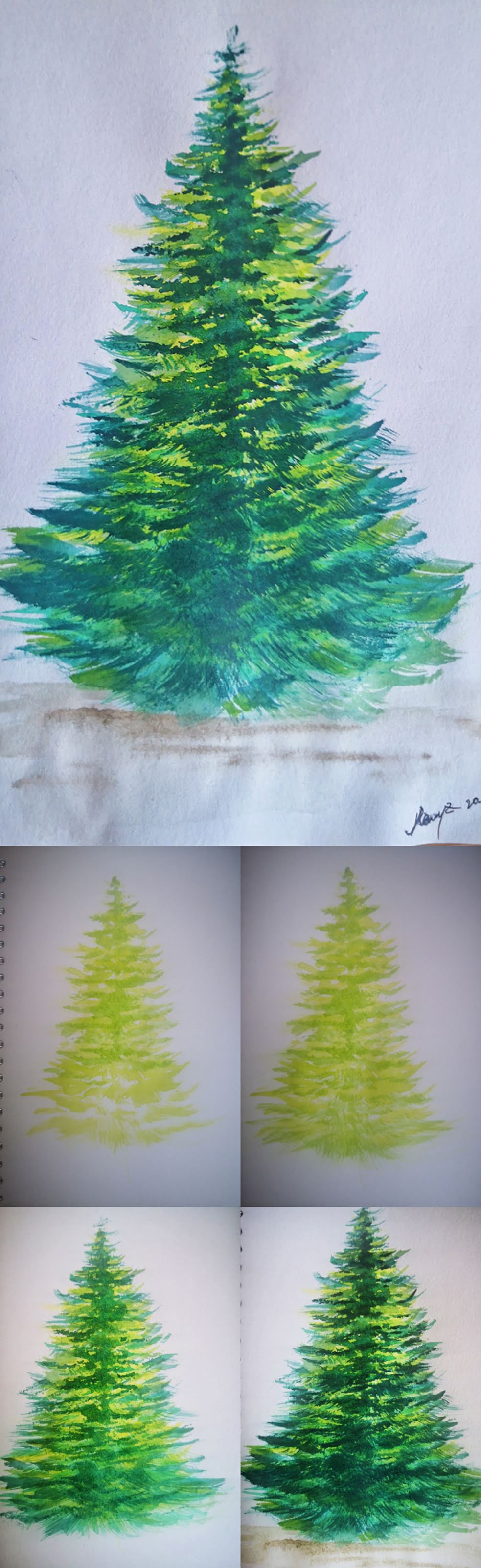 How to Draw a pine tree in watercolor. Best ideas for drawing tutorial tree step by step​