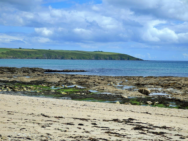 Looking across Spit Beach to Gribbin Head, Cornwall