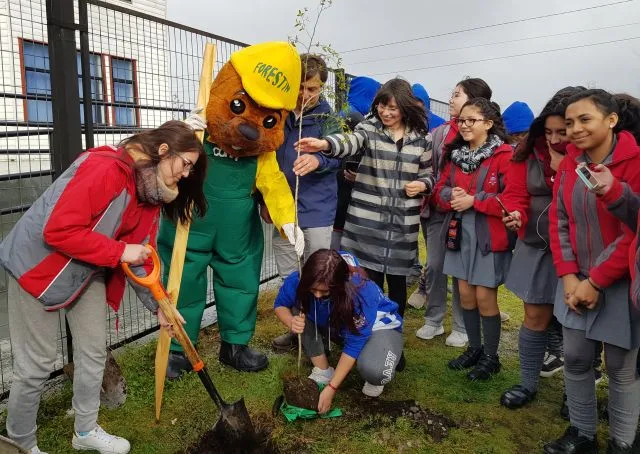 Programa "Un chileno. Un árbol"