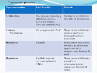 Silvia Brule, ansiedad, ira, rabia, miedo, depresión, embarazo