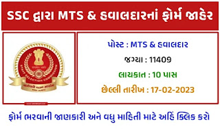 SSC MTS & Havaldar Recruitment for 11409 Posts 2023