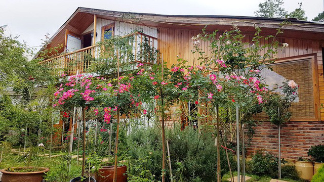 Quê gốc ở Nghệ An, anh Đặng Ngọc Tạo vào Đà Lạt để học và làm việc. Tới năm 2012, anh quyết định làm hai khu vườn rộng để cung cấp các loại hoa hồng, cây cảnh cho người dân có nhu cầu. Kể từ đó, anh bắt đầu làm nhà gỗ, sống trong chính khu vườn của mình.