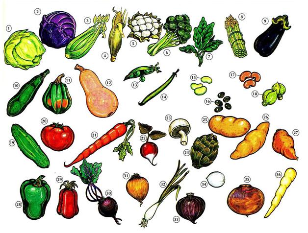 Nama Sayur  Sayuran  Dalam Bahasa Inggris Belajar Bahasa 