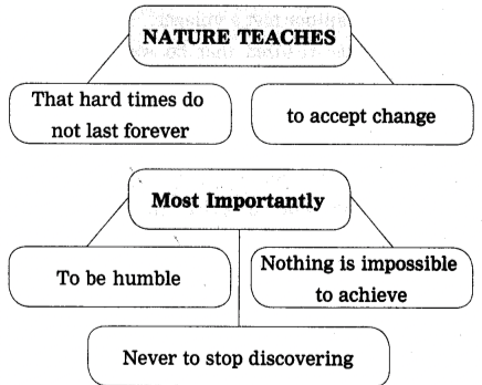 Into The Wild Questions And Answers Class 12th | 1.6 into the wild exercise