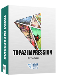 Topaz Impression 2.0.3 (x64)