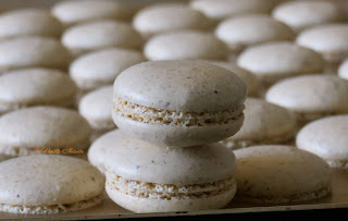 Macarons cacahuète, noisette, noix de pécan et noix de coco