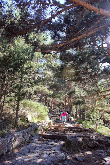 Peñalara. La Laguna Grande.