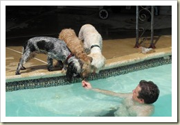 IMG_1808_640x427