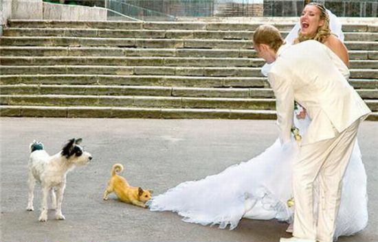 Wedding photo fails - 24