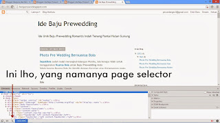 Mengedit Template Blogspot Dengan Developer Tool