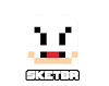 SketBR