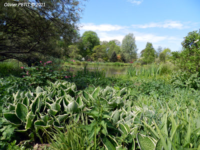 GELAUCOURT (54) - Jardin de l'Aubepré