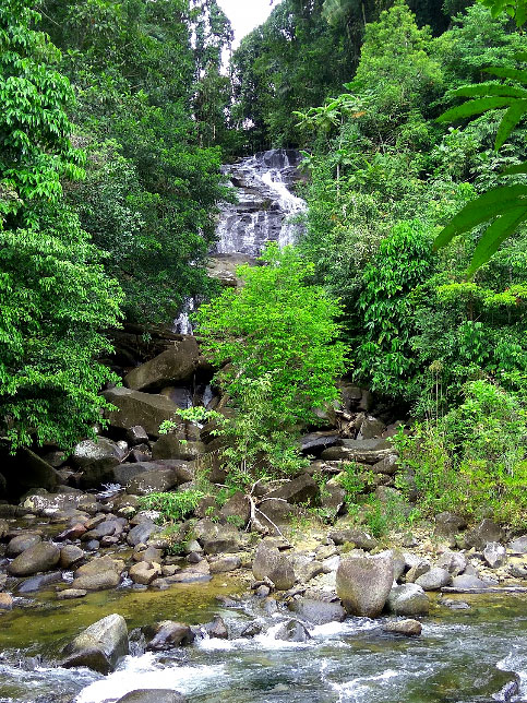 Air Terjun Sirin Punti Nanga Taman - Sekadau