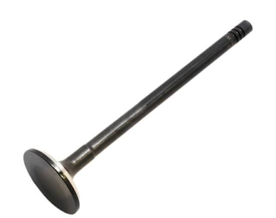 Exhaust Valve