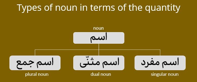 singular, dual, and plural noun in arabic