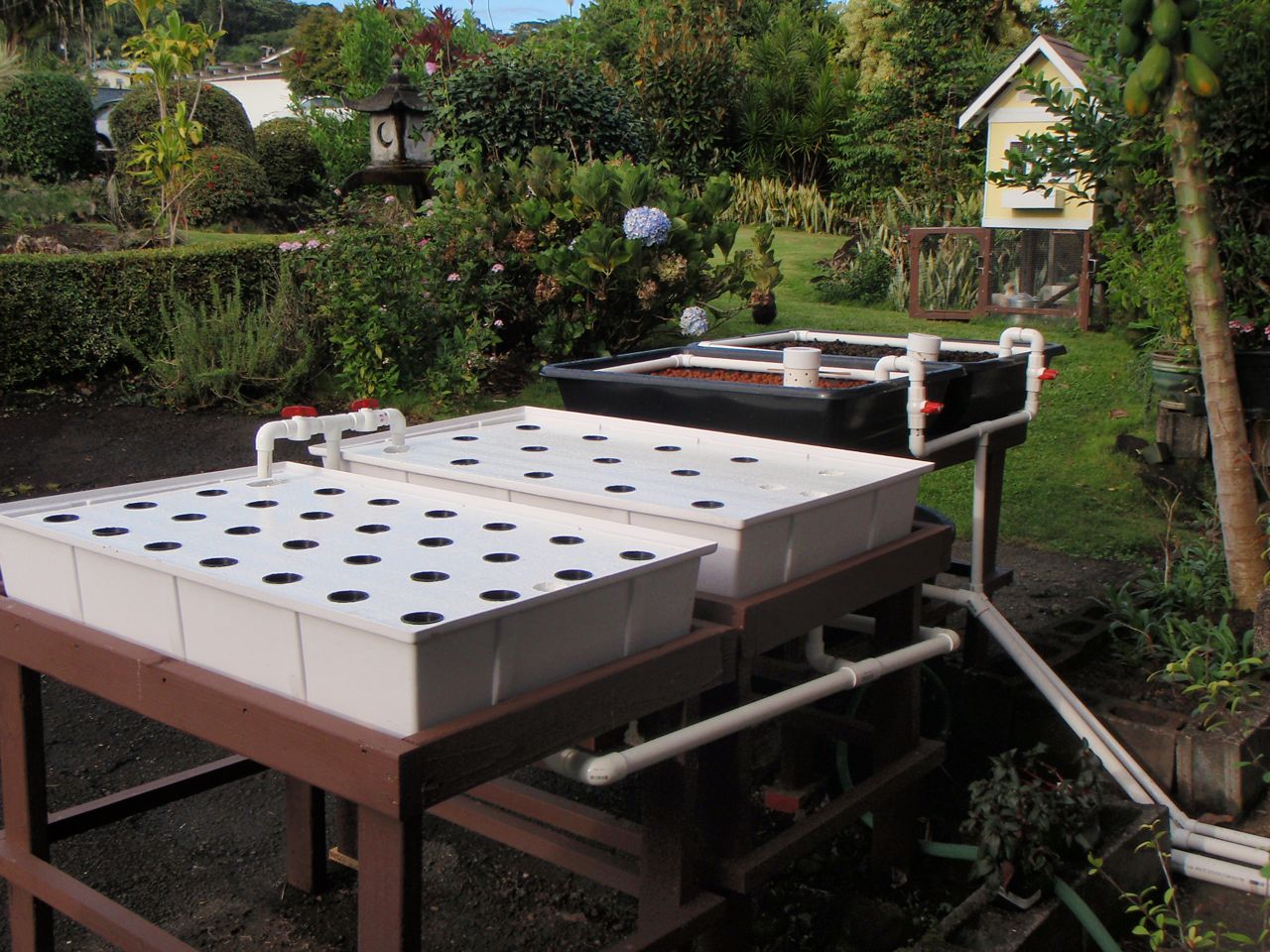 Murray Hallam Diy Aquaponics