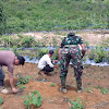 Anggota Satgas TMMD, Membantu Warga Berkebun