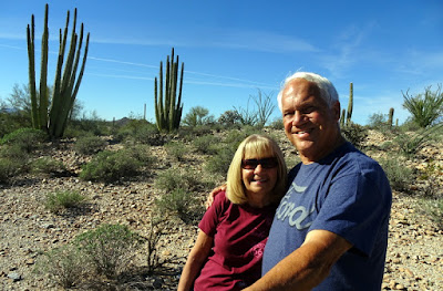 Organ Pipe Cactus National Monument