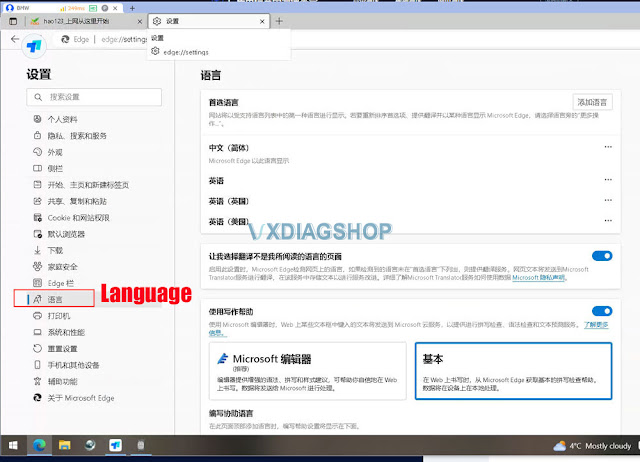 VXDIAG 2TB HDD Web Browser in Chinese Solution 2