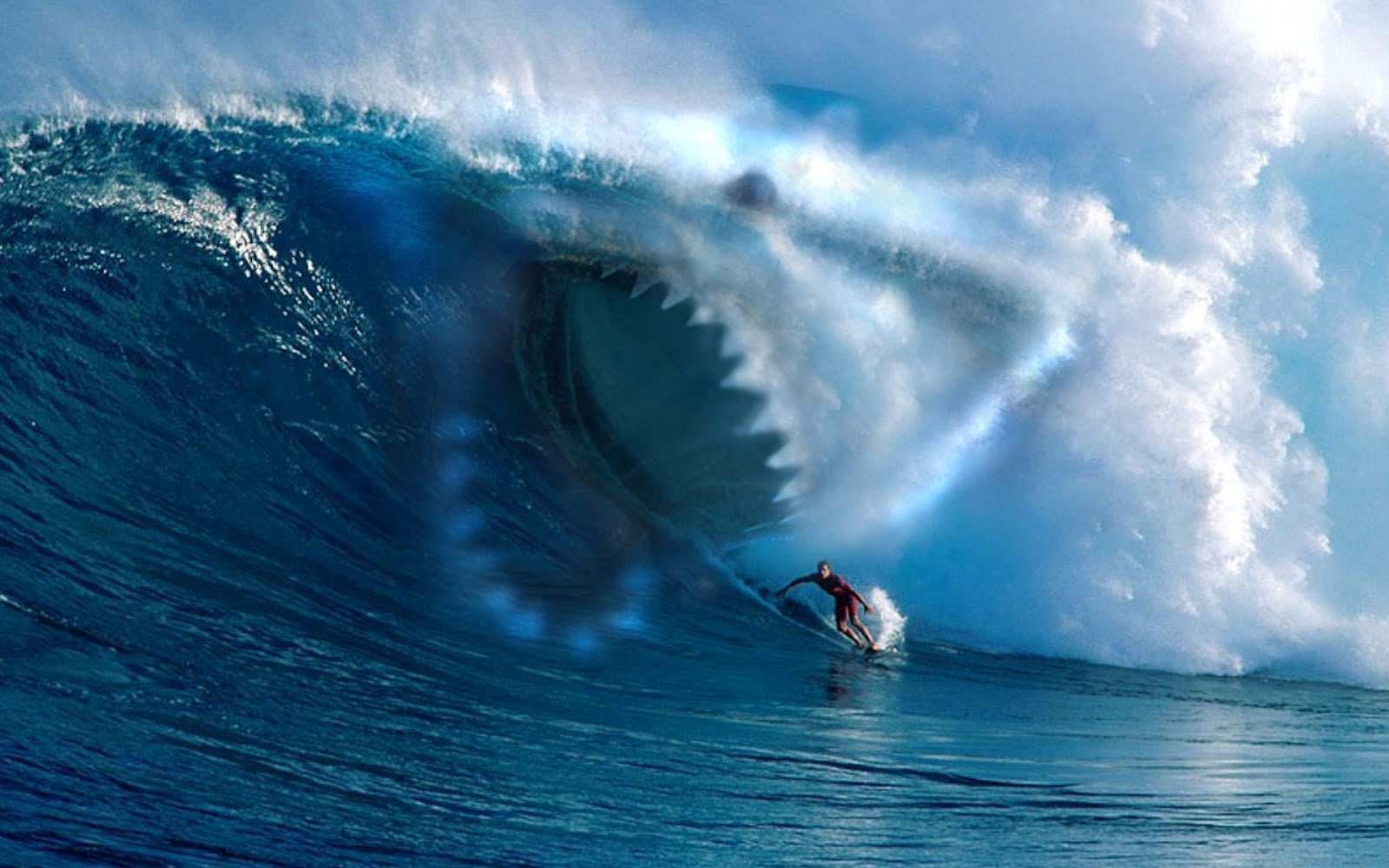 Tapety na pulpit: surfing, fala, rekin, ocean, humor 